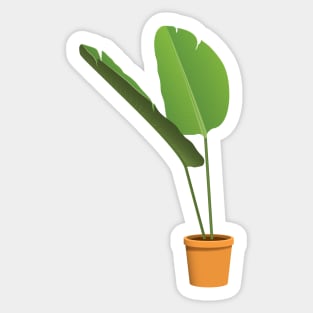 Plant aesthetic Sticker